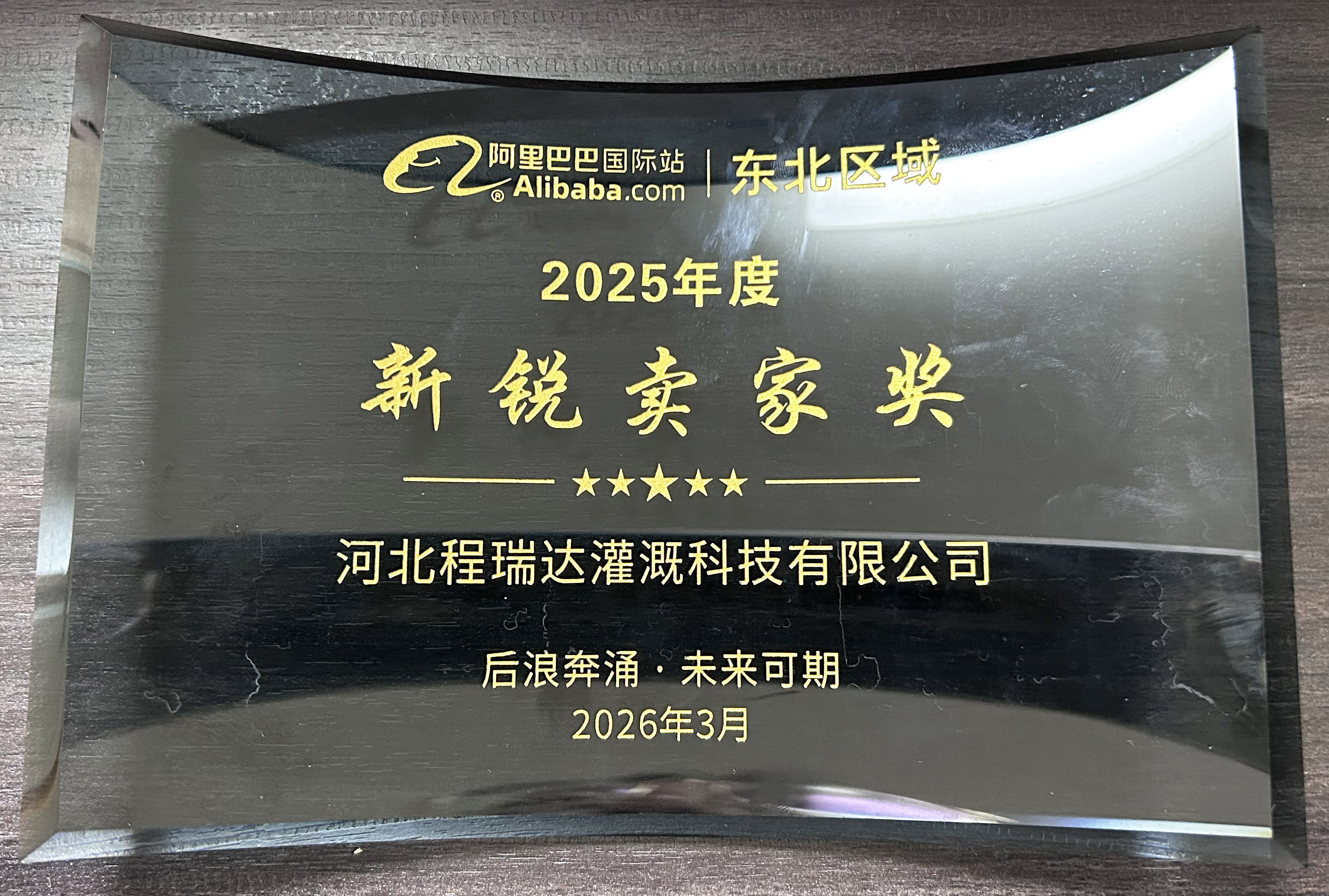 南充程瑞达灌溉 | 荣获阿里国际站新锐卖家奖